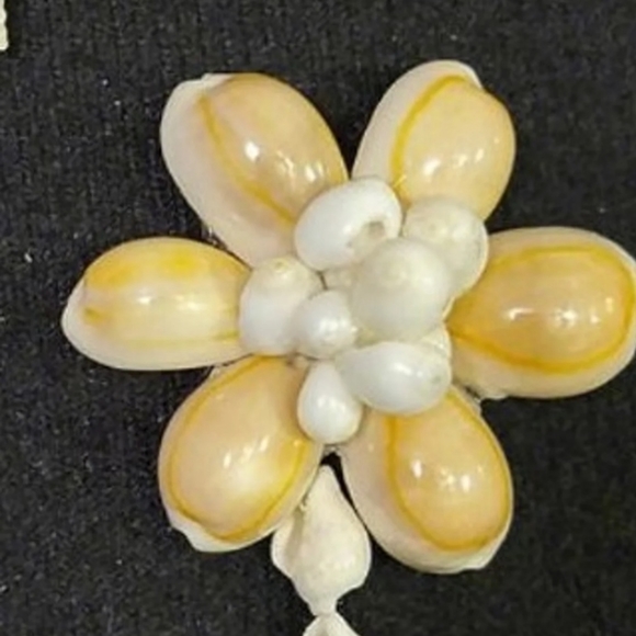 Franed Picture shell wall art 5x7inches - Picture 5 of 6